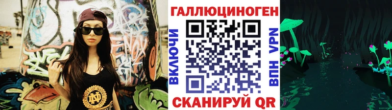 Галлюциногенные грибы Psilocybe  купить   Куса 